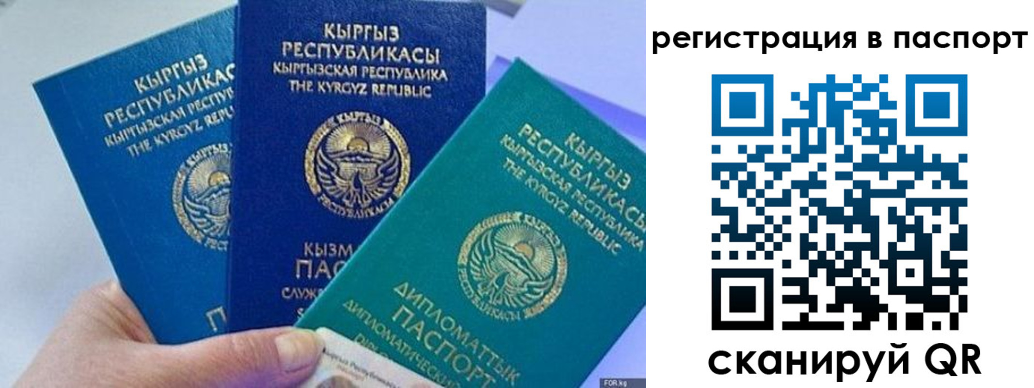 прописка 2025 в Щиграх